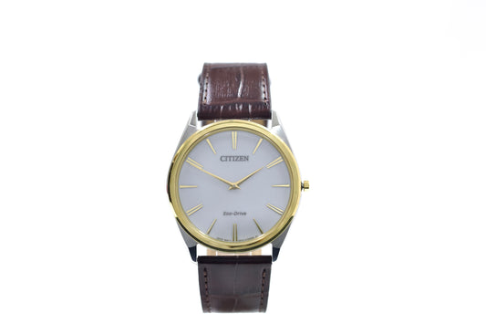 CITIZEN AR3074-03A BROWN