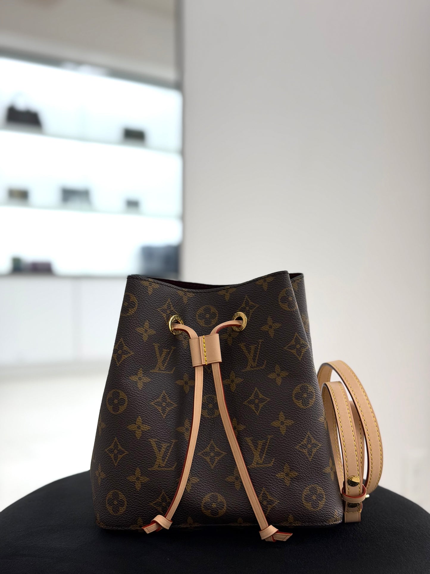 Louis Vuitton NéoNoé BB bucket bag in Monogram canvas