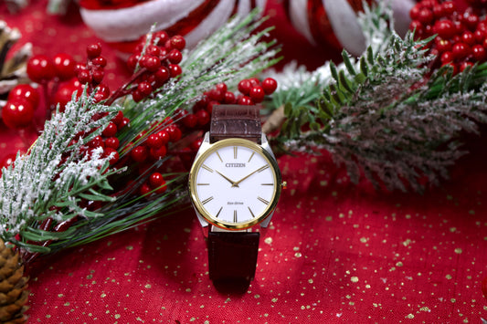 CITIZEN AR3074-03A BROWN