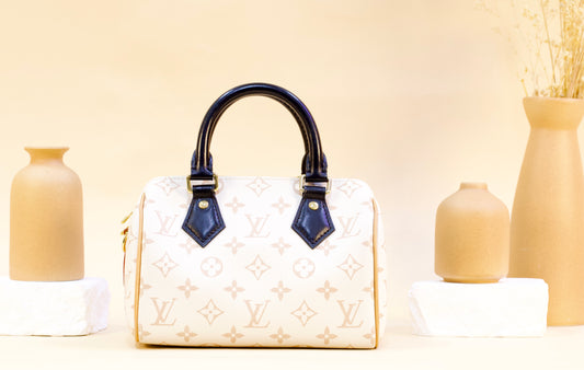 LOUIS VUITTON SPEEDY 20