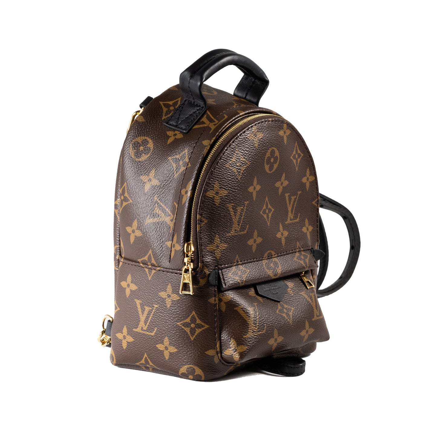 Louis Vuitton Palm Spring Mini Bag