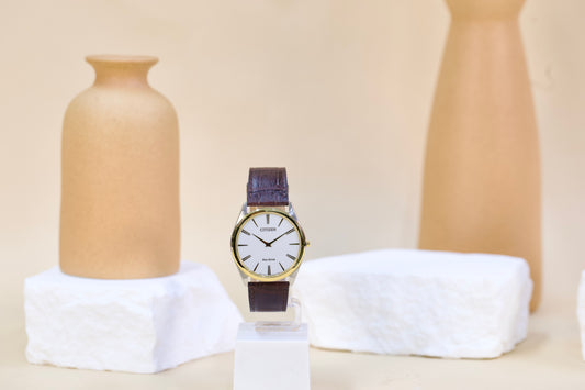 CITIZEN AR3074-03A BROWN