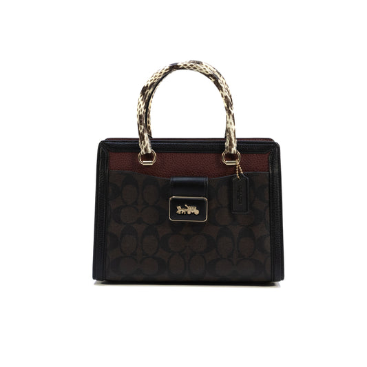 Coach Women's Grace Carryall In Signature Canvas - Brown Black Multi