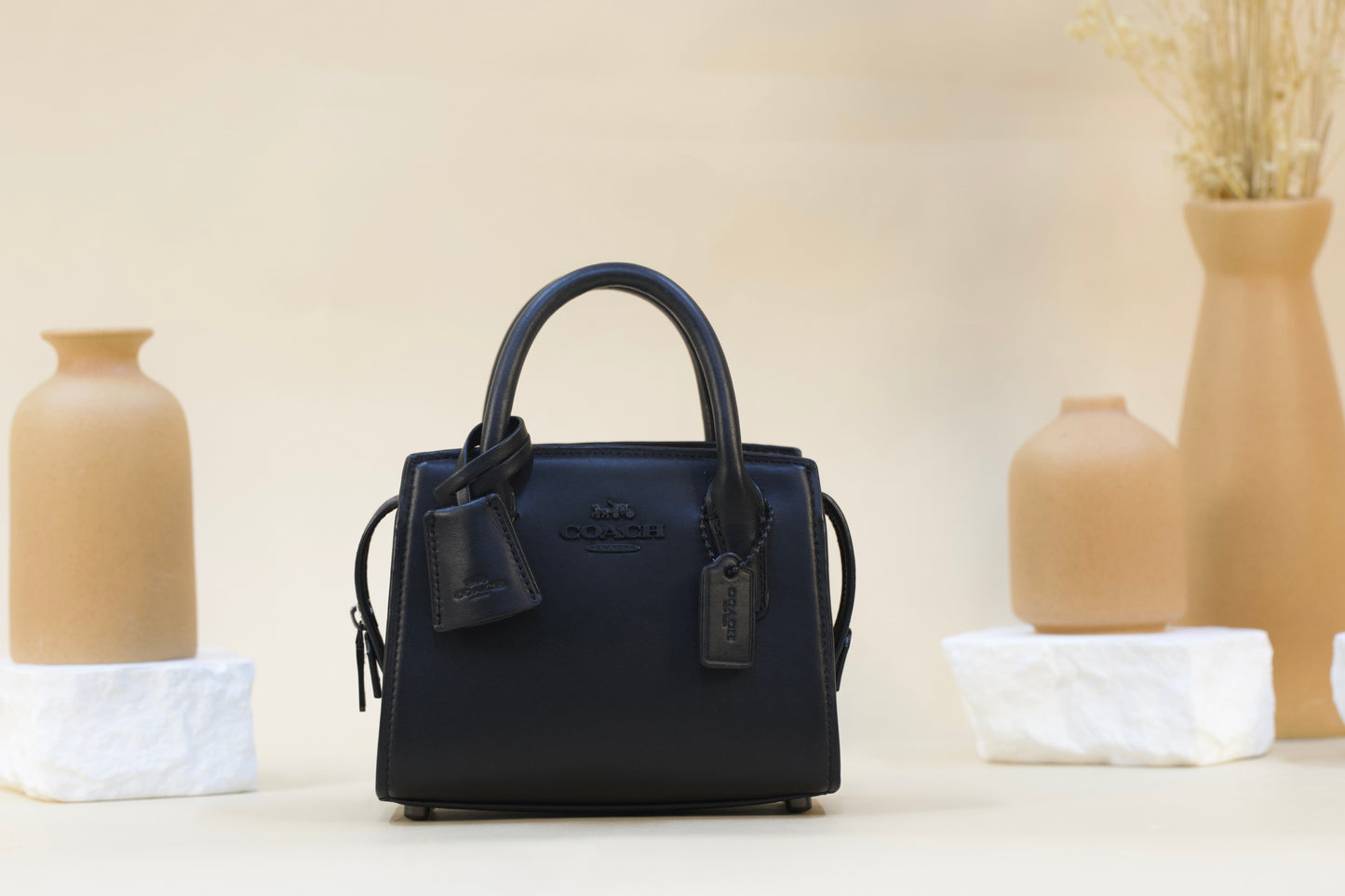 COACH CO974 SMALL AND MINI CARYALL TH BLACK