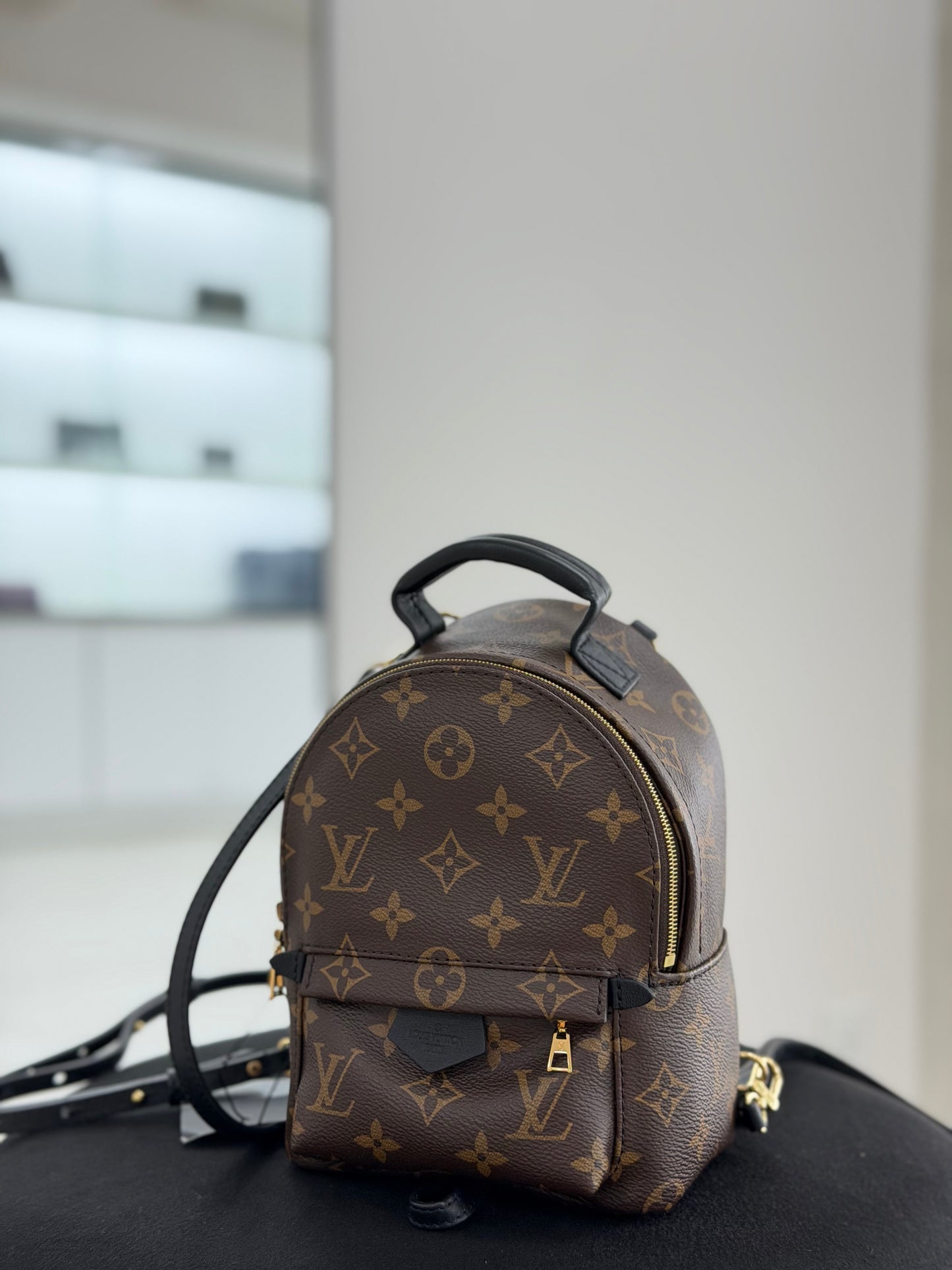 Louis Vuitton Palm Springs Mini Backpack