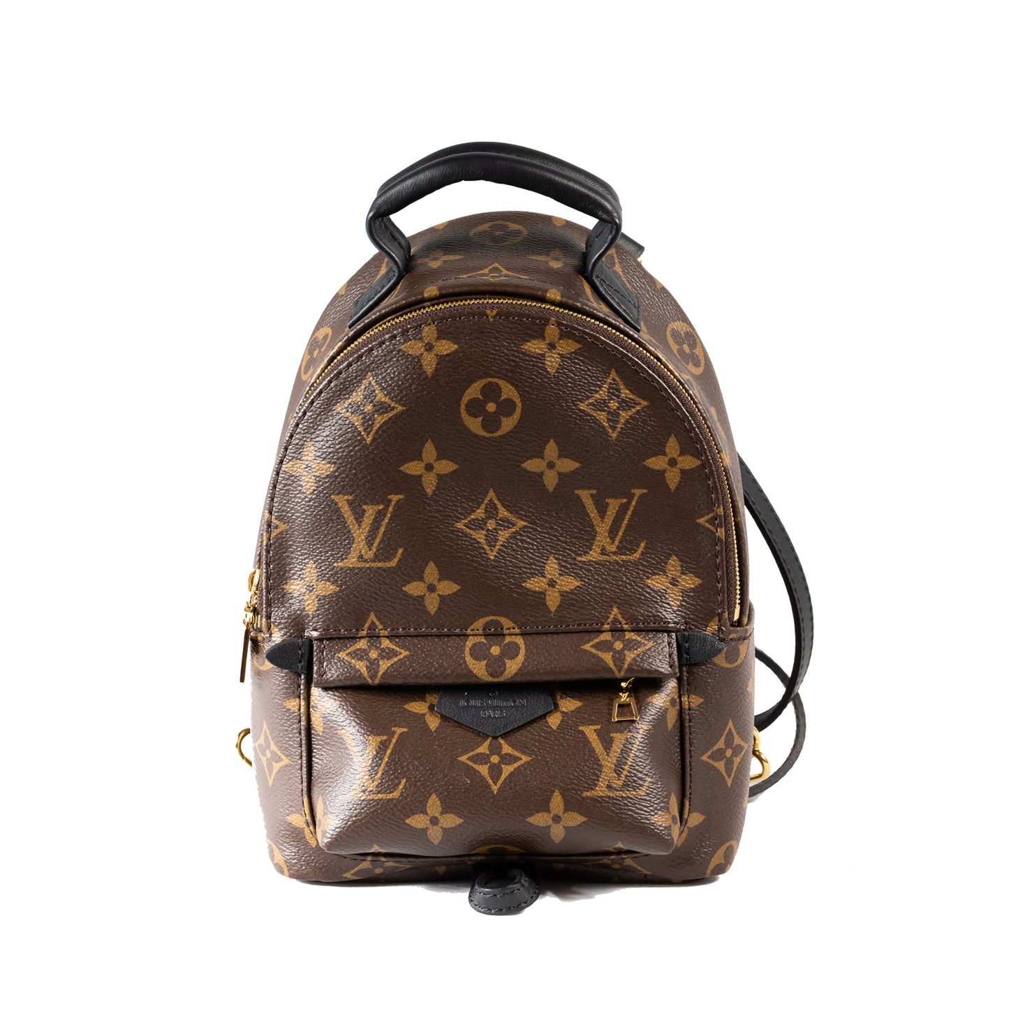 Louis Vuitton Palm Spring Mini Bag