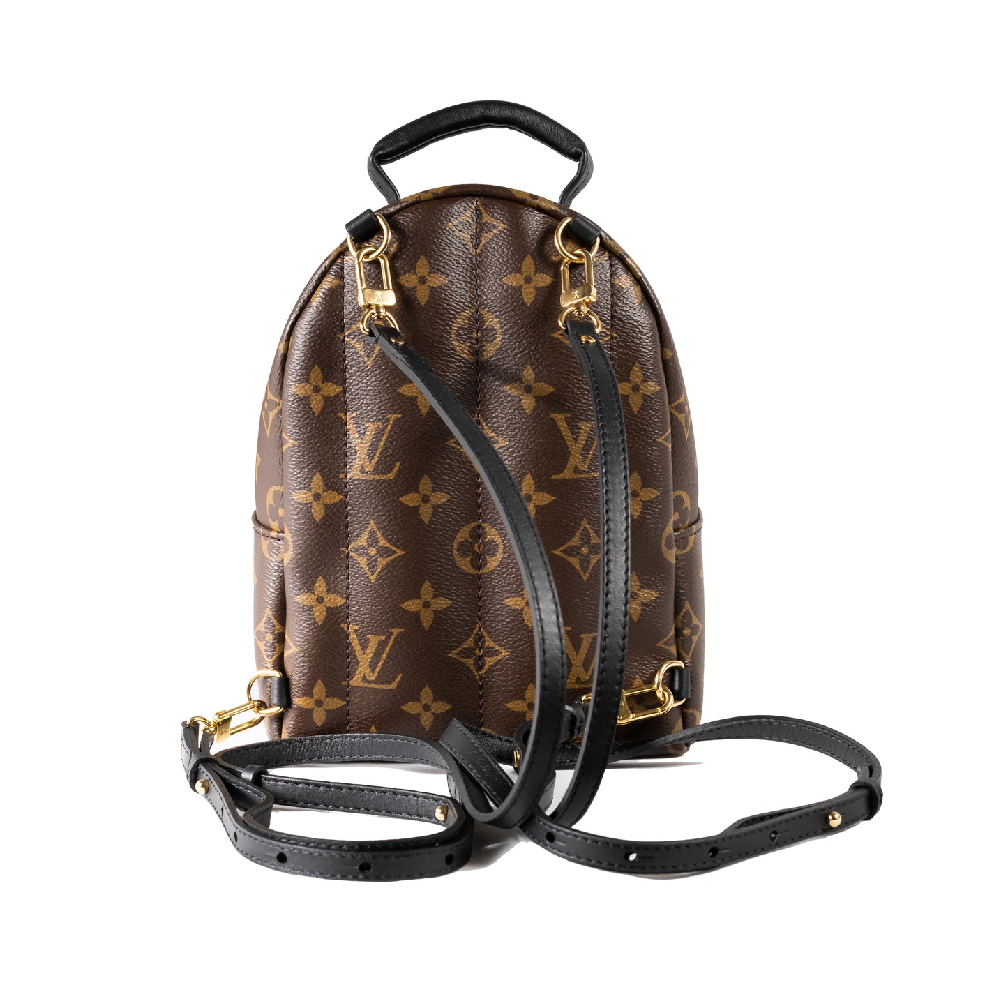 Louis Vuitton Palm Spring Mini Bag