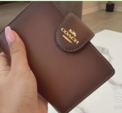 Coach Medium Corner Zip Wallet brown