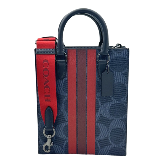 COACH DYLAN TOTE BAG